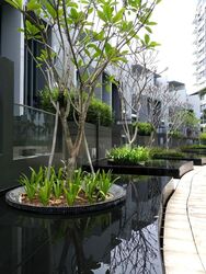 Skies Miltonia (D27), Condominium #505422171